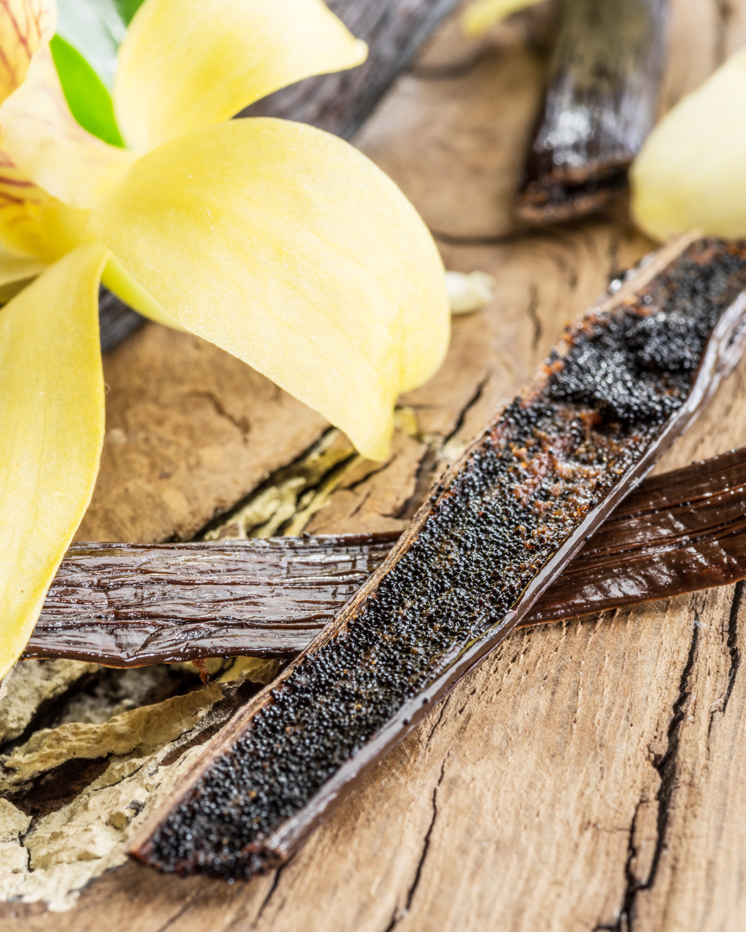 Thé vanille Bois Chéri : un trésor gourmand de l’île Maurice ramené par le Nomade