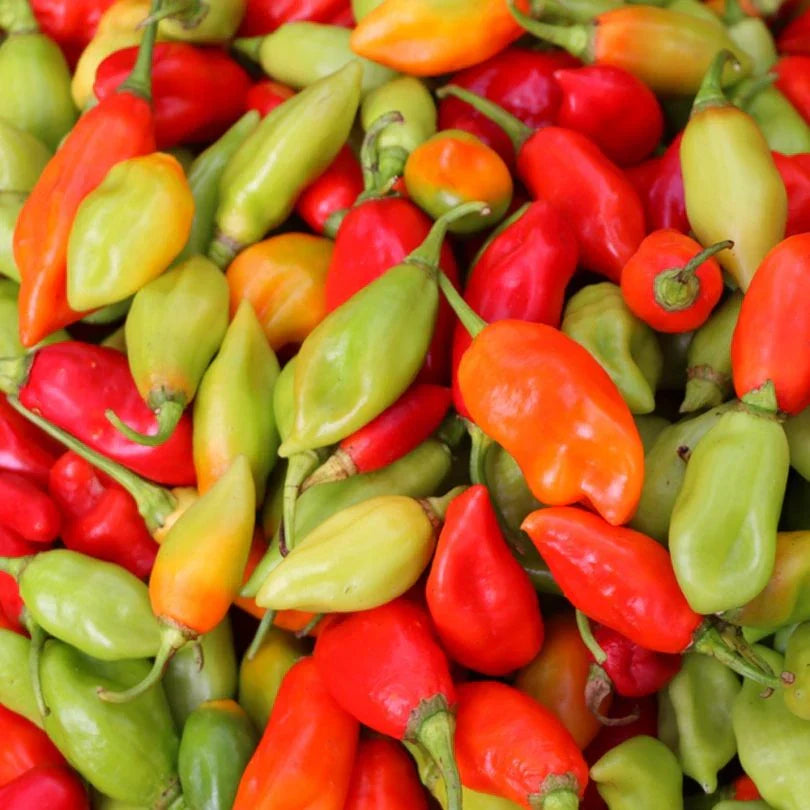 Recette gourmande : Riz créole au poulet et purée de piment végétarien