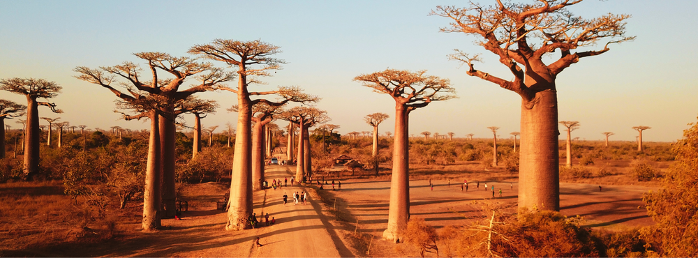 MADAGASCAR