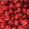 Purée de Piment Végétarien Dame Besson 90 g | Saveur Douce des Antilles